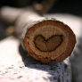 Logo Bois à coeur